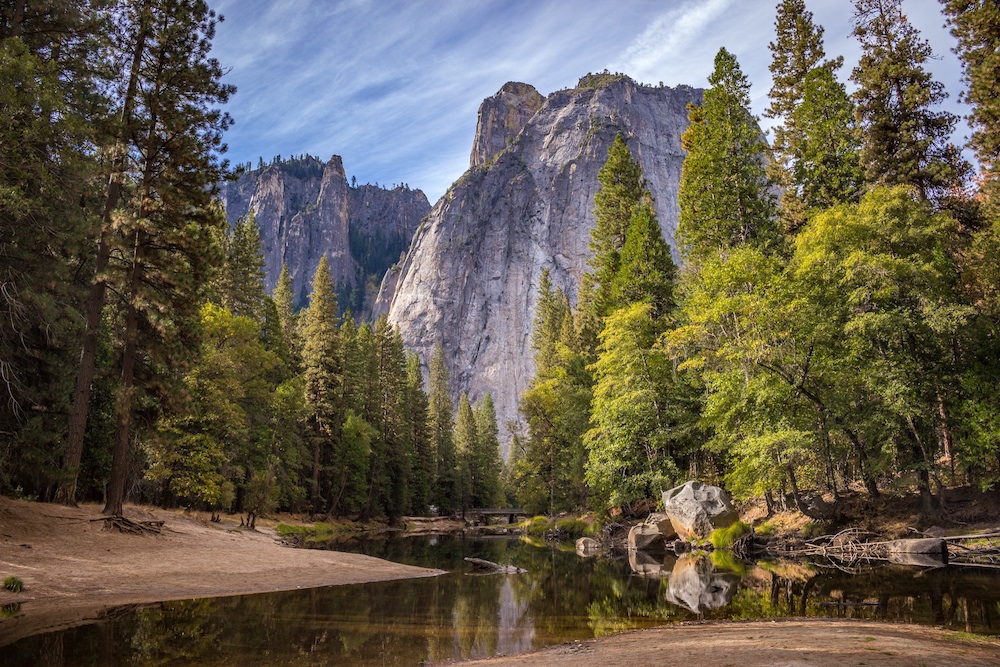 Nature Picture